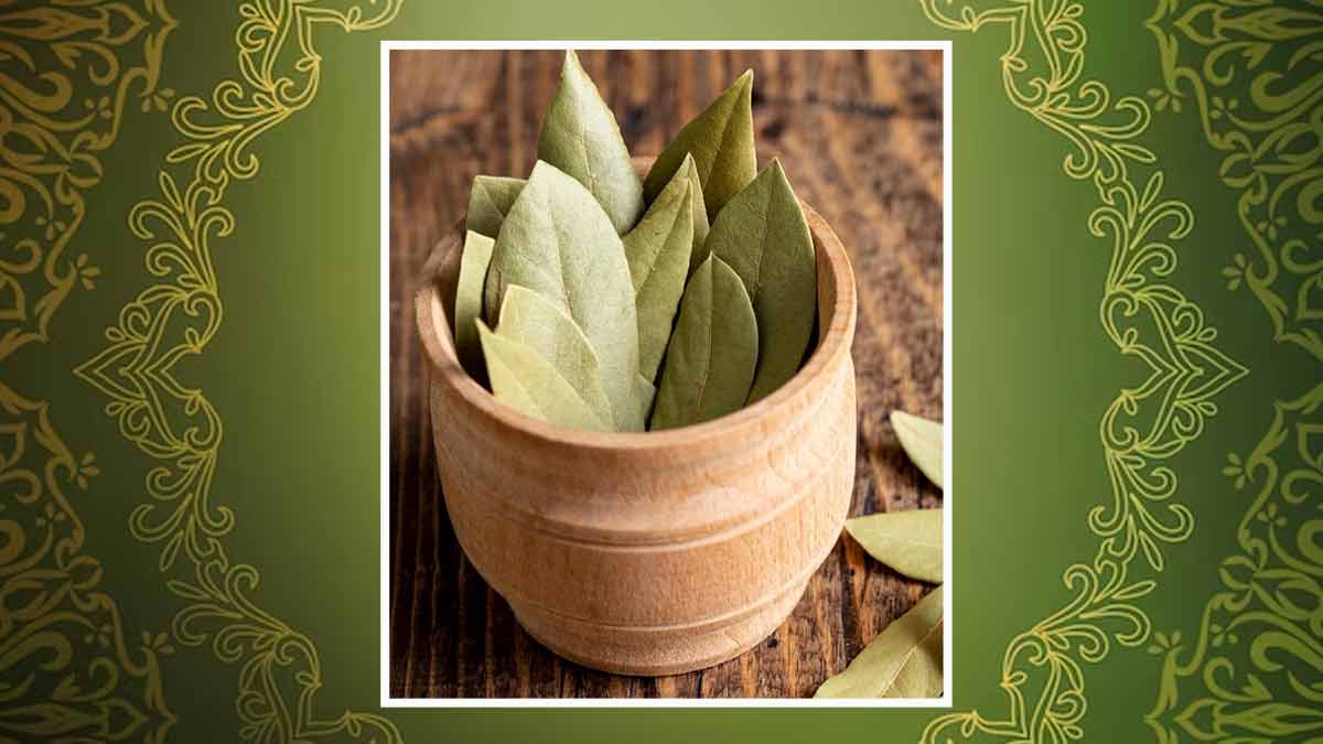 Bay Leaf Water Benefits : வெறும் வயிற்றில் பிரிஞ்சி இலை தண்ணீர் குடித்தால் நடக்கும் அதிசயம்!